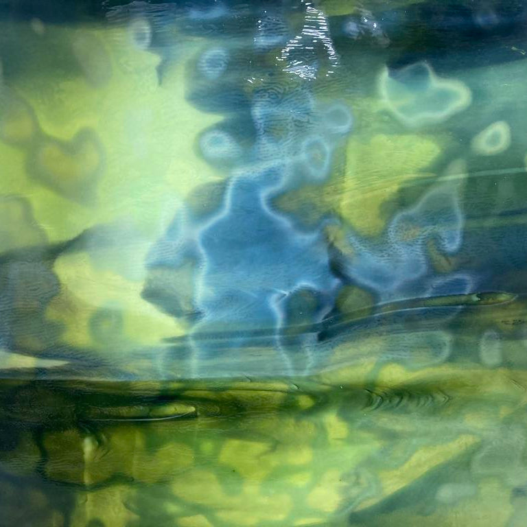 Celery, Forest Green Mottle