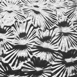 Clear Florentine Textured - Stained Glass Express 