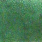 Colors For Earth Laurel Green BubbleART Enamel Glass Paint - Stained Glass Express 