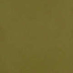 Colors For Earth Moss Green Enamel Glass Paint - Stained Glass Express 