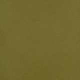 Colors For Earth Moss Green Enamel Glass Paint - Stained Glass Express 