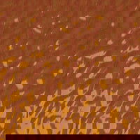 Coronation Gold English Muffle - Stained Glass Express 