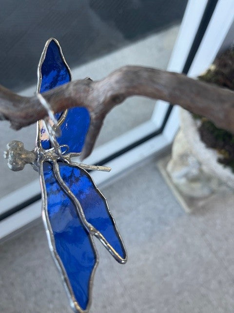 Dragonfly w/cast body, Katherine Adams-Gary