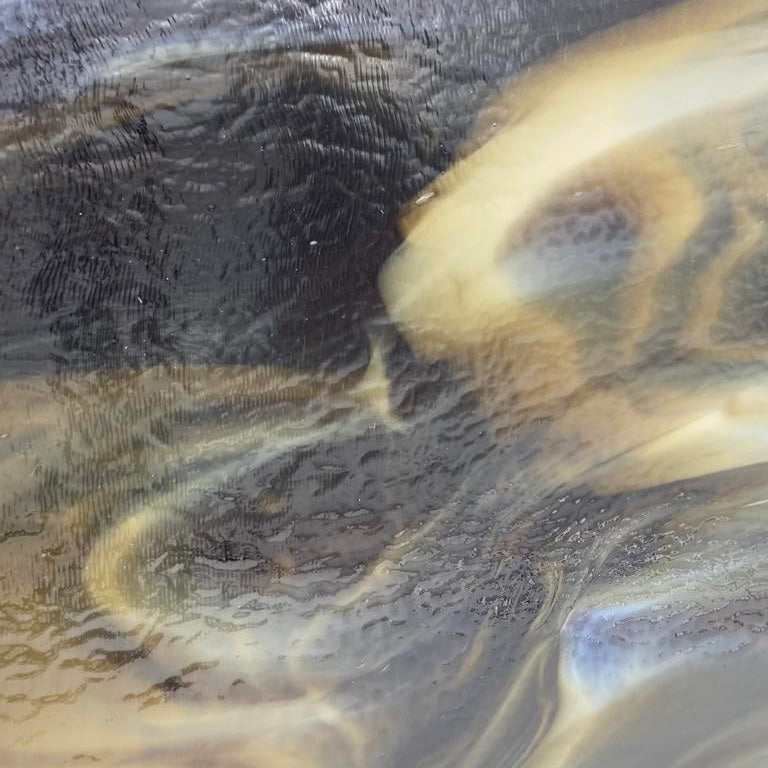 90 COE Dk Brown, White Opal