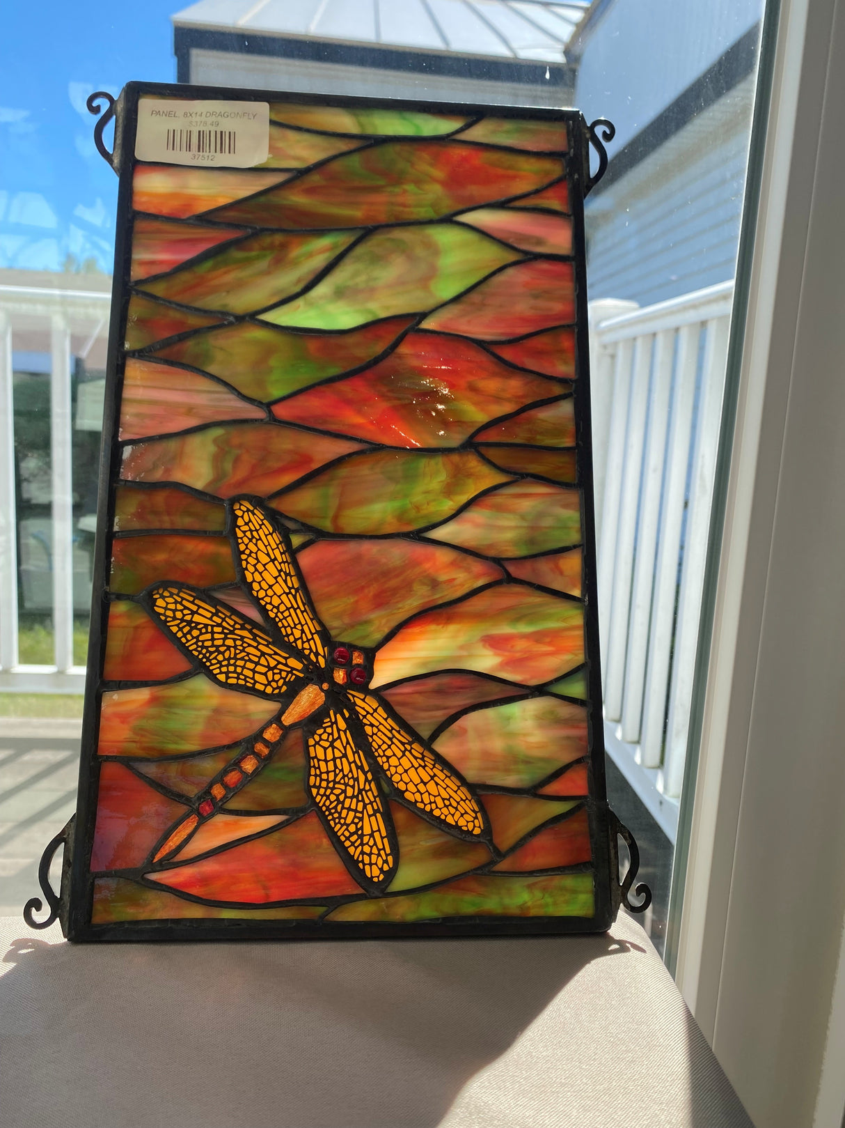 PANEL, 8X14 DRAGONFLY
