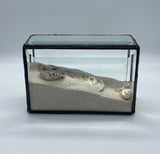 EXECUTIVE SAND BOX - Stained Glass Express 