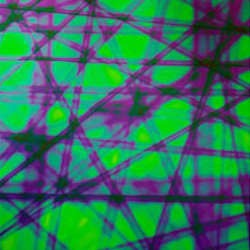 Emerald Pixi Stix Thin Black Dichro 96 COE - Stained Glass Express 