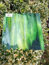 Emerald, Spring, Light Green Mottle