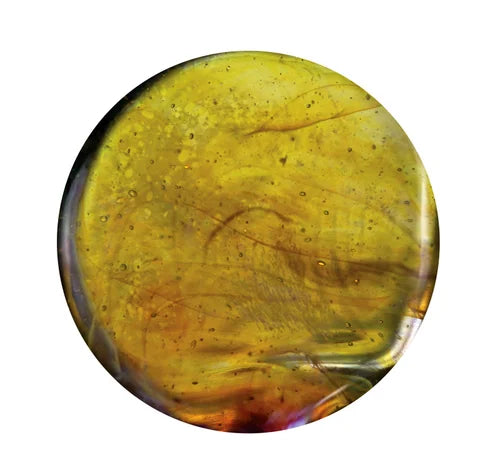 33 COE Rod Exotic Citrus Yellow