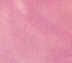 FuseMaster EZ Fuse Enamel Light Purple 1 oz - Stained Glass Express 