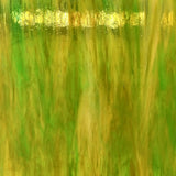 Green, Amber and White Wispy