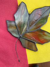 Maple Leaf