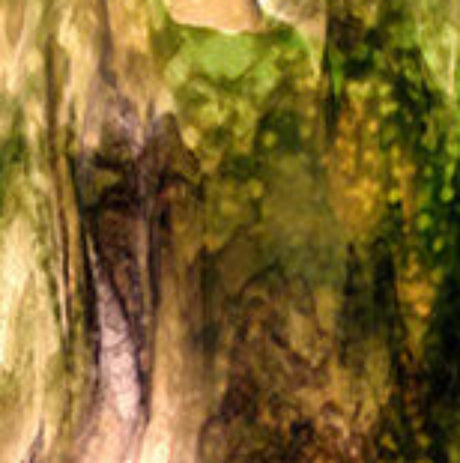 Greens, Ambers, Browns Stipple