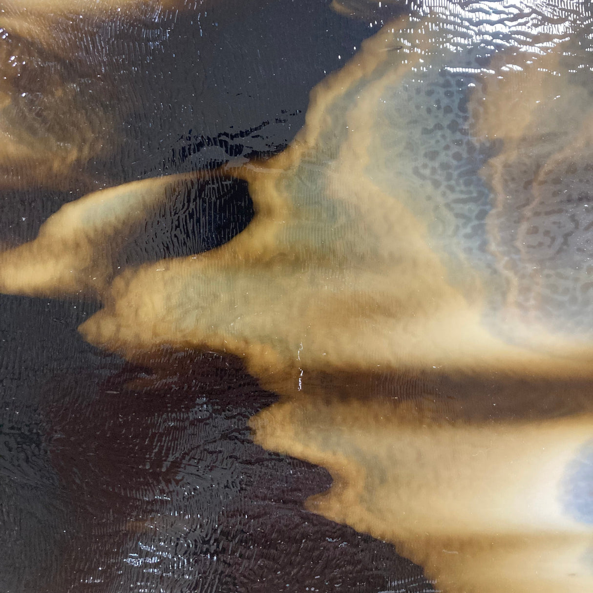 90 COE Dk Brown, White Opal