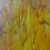 Indian Corn_3