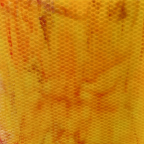 Indian Corn BL