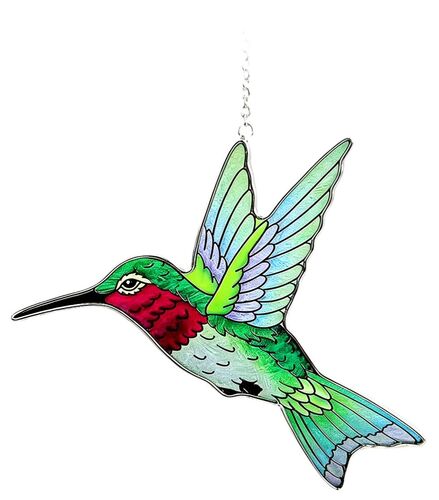 Throated Hummingbird Small