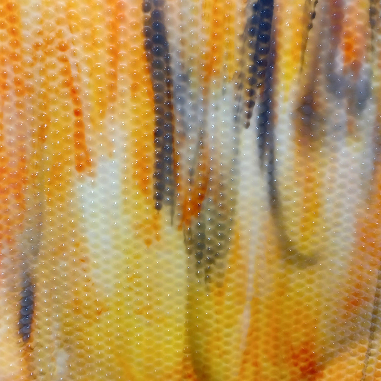 Koi Fish BL