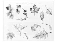 Leaves Designer Silk Screen Stencil - Stained Glass Express 