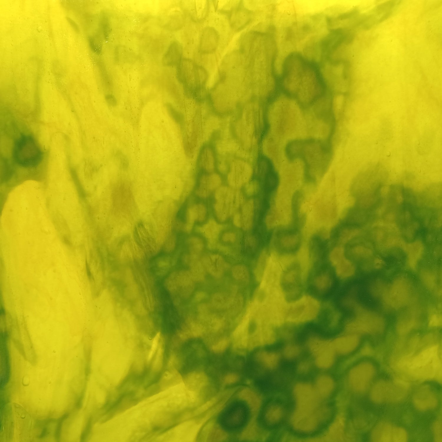 Lemon Yellow Ice, Emerald Green Stipple