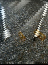 Male Ground Joint Holder - Stained Glass Express 