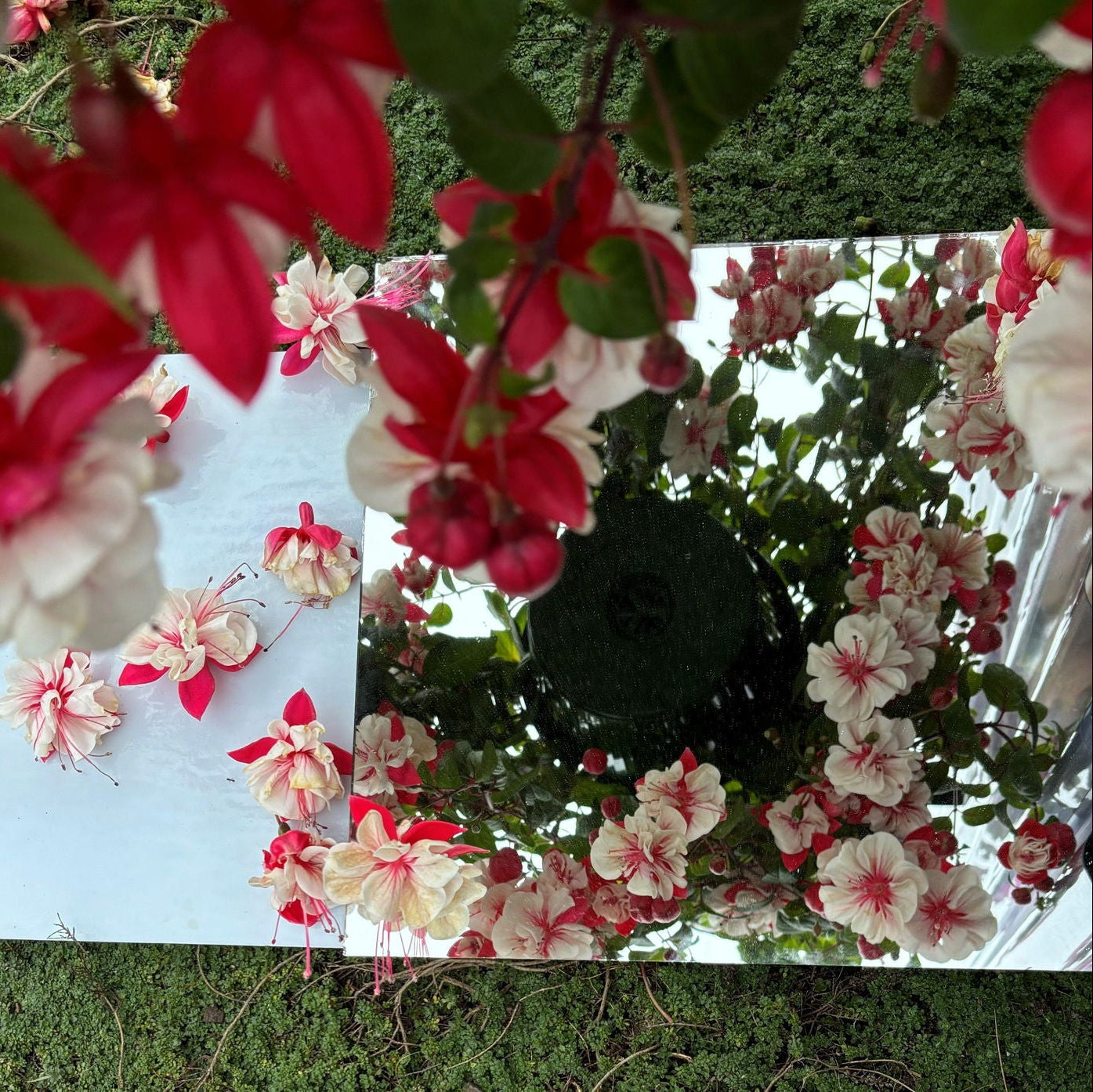 Mirror Glass 1/8" - Stained Glass Express 