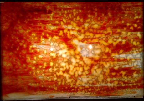 Oceana White and Orange - Stained Glass Express 