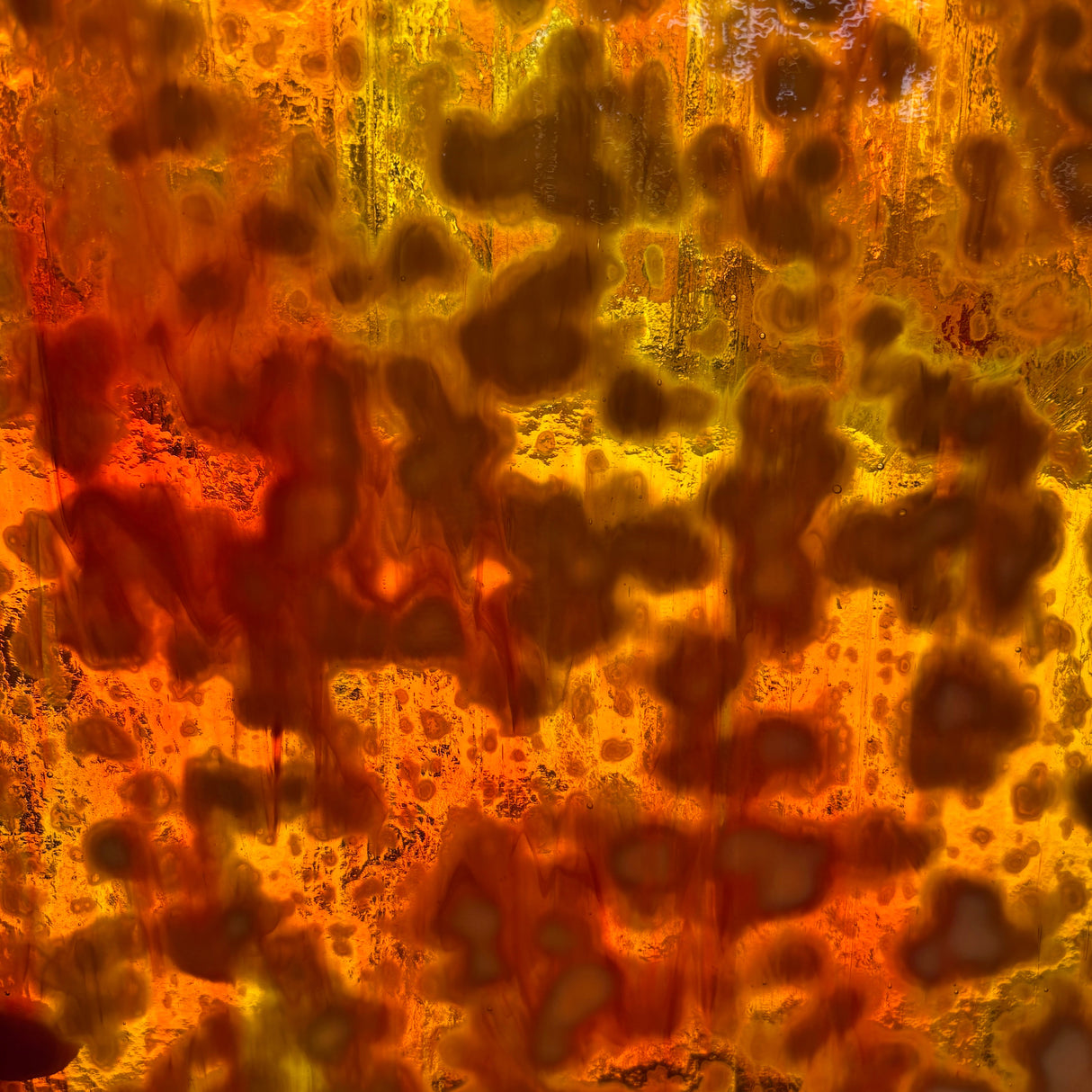 Orange and Silver Yellow Oceana