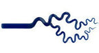 Origin Borobar Stix Lazuli Rod 33 COE - Stained Glass Express 