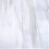 Pale Gray and White Opal