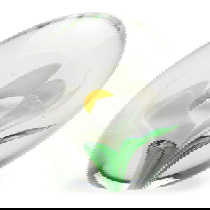 Paperweight Magnolia - Stained Glass Express 