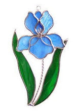 SC, IRIS - Stained Glass Express 
