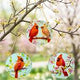 Suncatcher Cardinal
