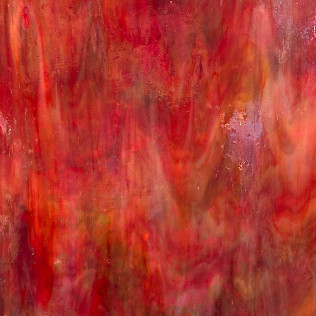 Salmon, Red Iridescent