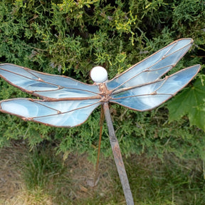 Stained Glass and Chill Dragonfly