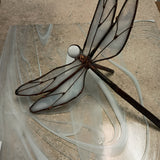 Stained Glass and Chill Dragonfly