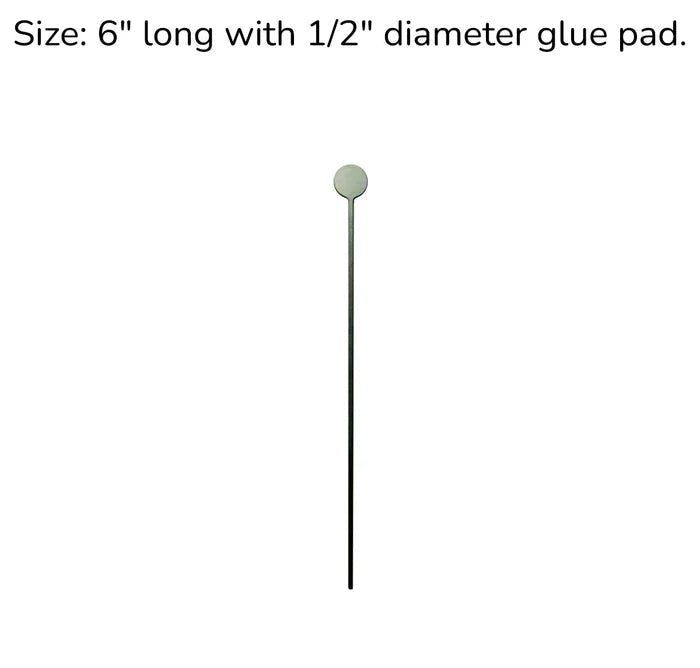 Stainless Steel Plant Stake 6"