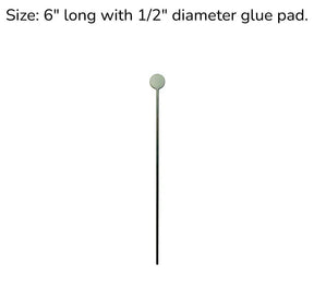 Stainless Steel Plant Stake 6"