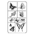 Stencil Rub N Etch Butterflies Assortment - Stained Glass Express 