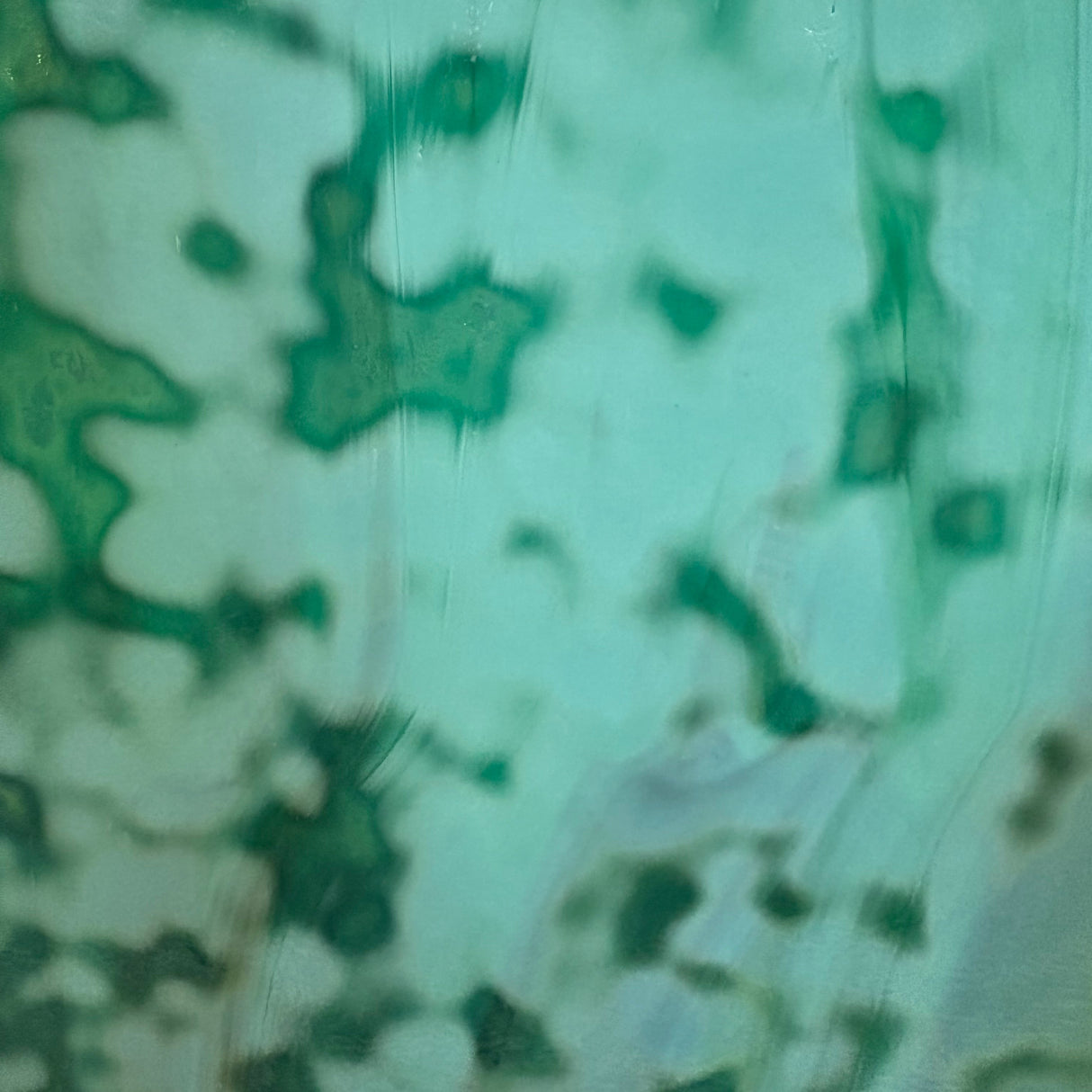 Teal and Dark Green Oceana