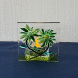 Tealights 3"