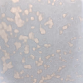 White Opal Mottle