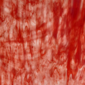 White, Red Flemish