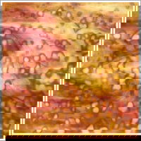 White, Silver Yellow, Gold, Pink - Stained Glass Express 