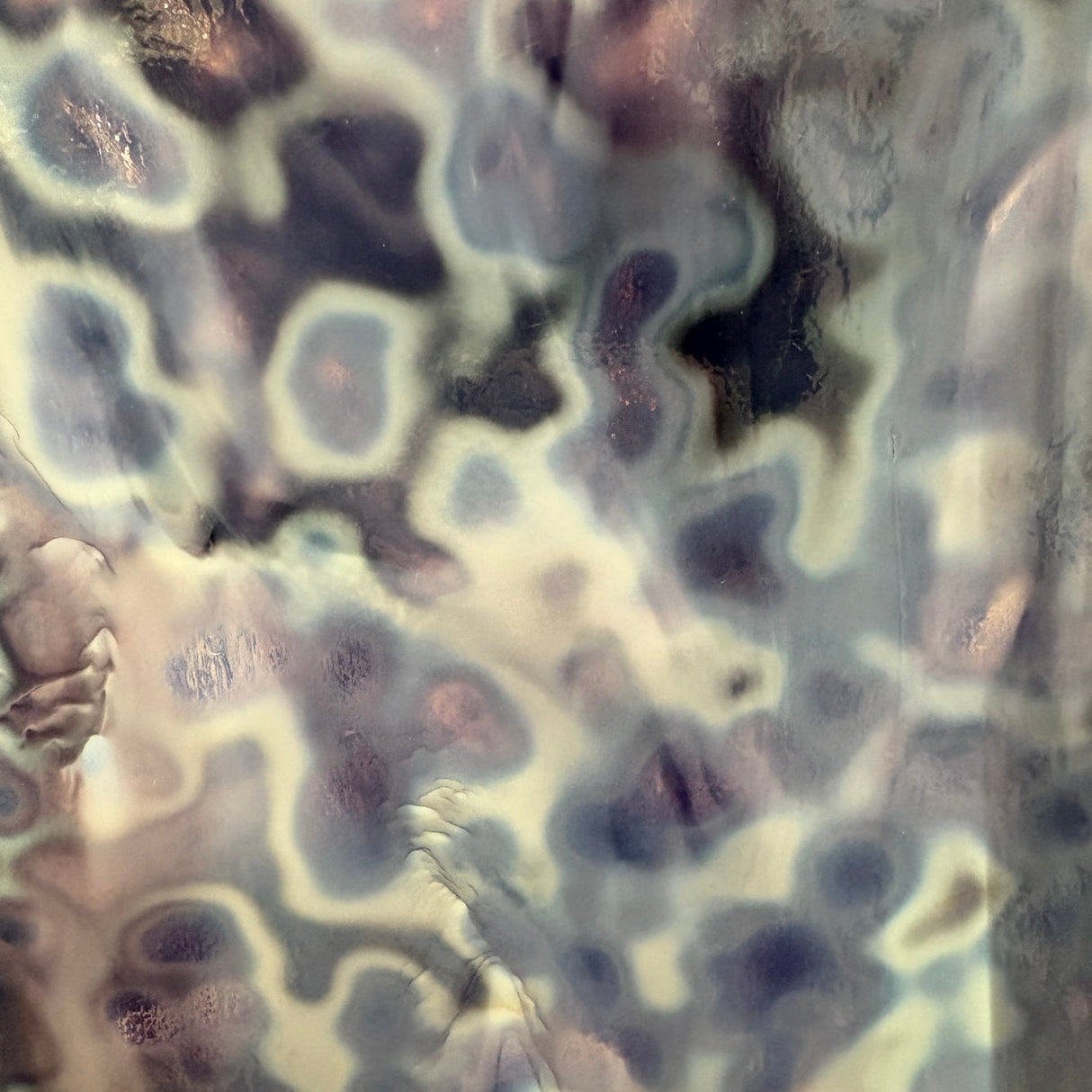 White and Manganese Purple Oceana