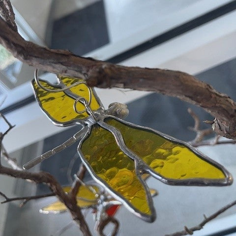 Dragonfly w/cast body, Katherine Adams-Gary