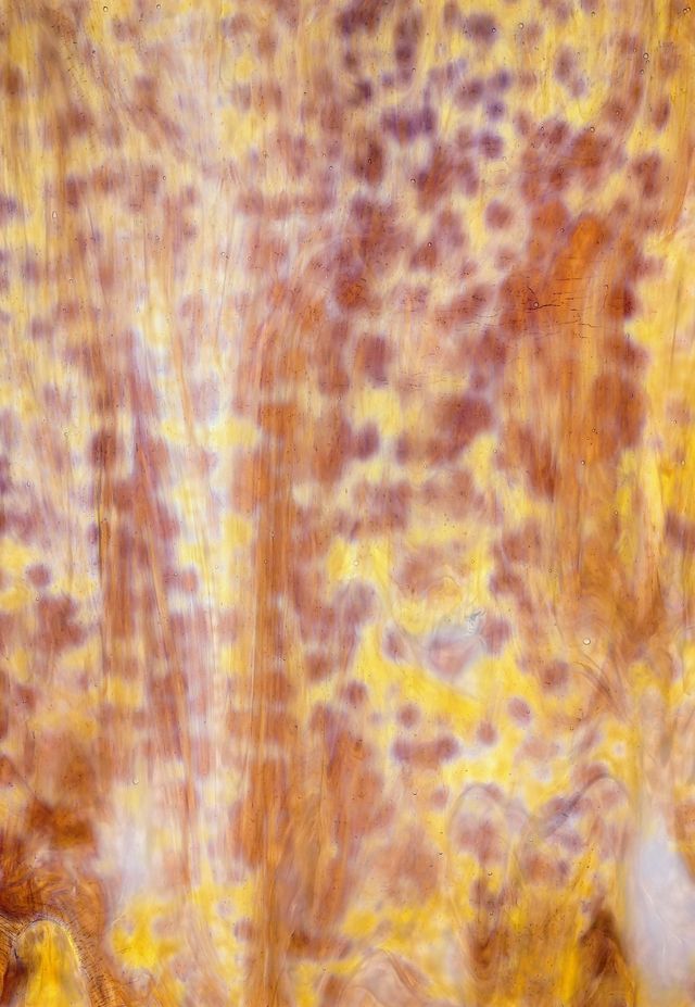 Yellow with White True Dichro - Stained Glass Express 