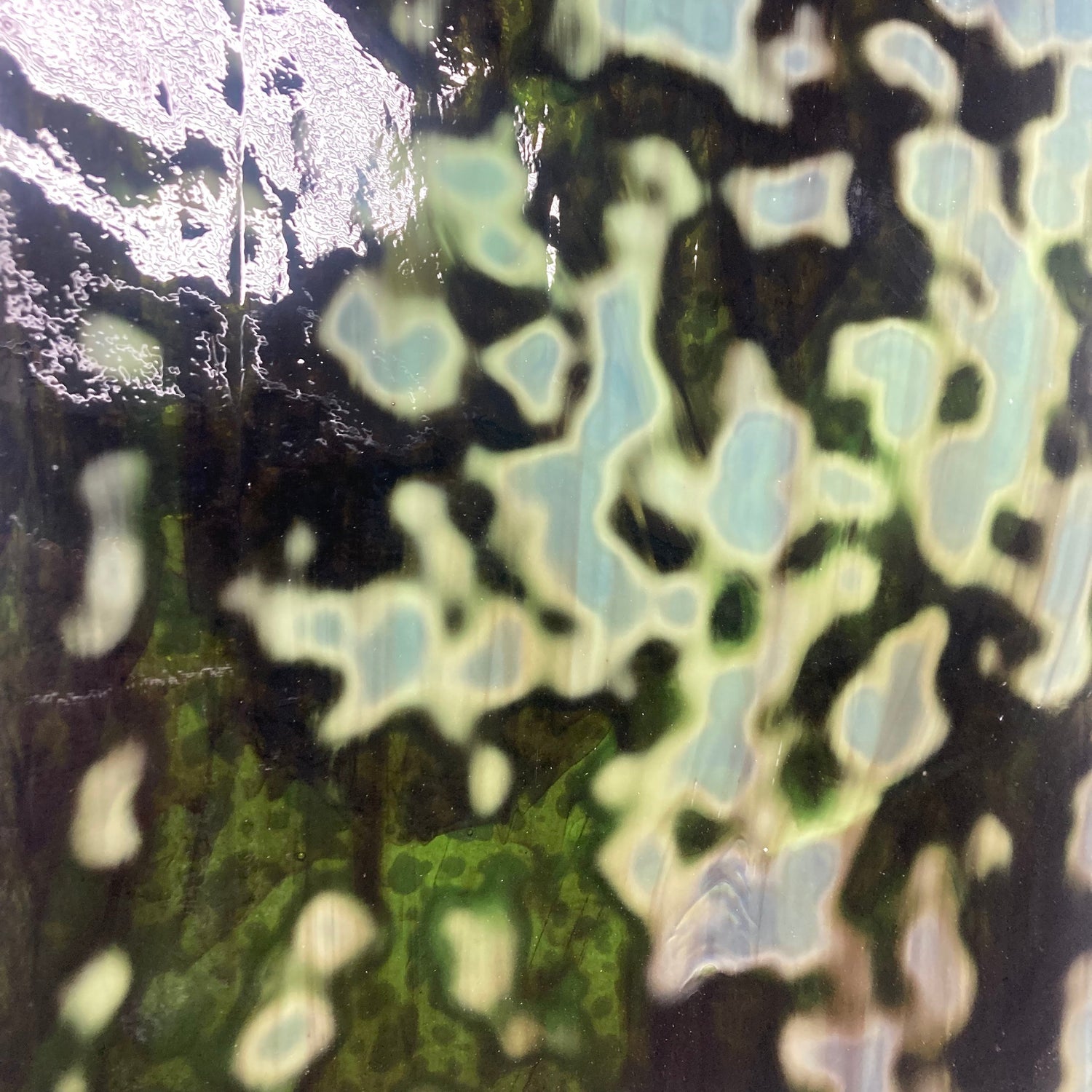 Chrome Green and Dark Brown Oceana