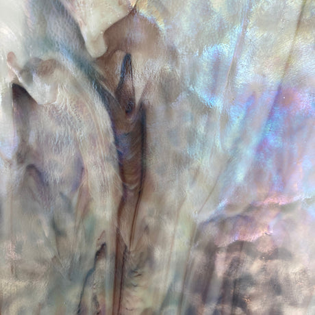 Youghiogheny White Brown Irid