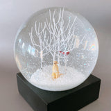 Snow Globe Lab In The Woods